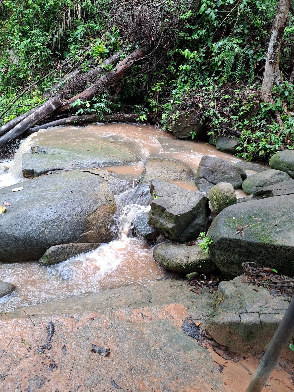 Andrew ,Sharda and Son speed boat and Tour services, Essequibo River Guyana 🇬🇾